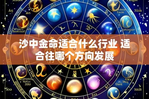 沙中金命适合什么行业 适合往哪个方向发展
