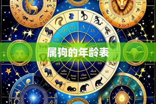 属狗的年龄表