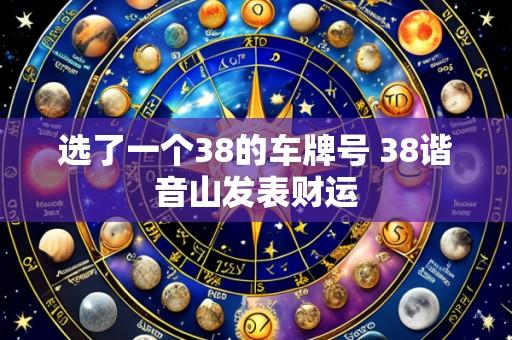 选了一个38的车牌号 38谐音山发表财运