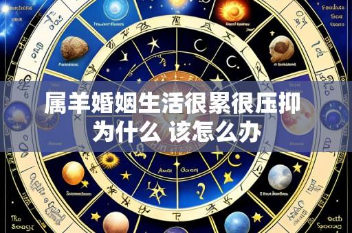 属羊婚姻生活很累很压抑 为什么 该怎么办