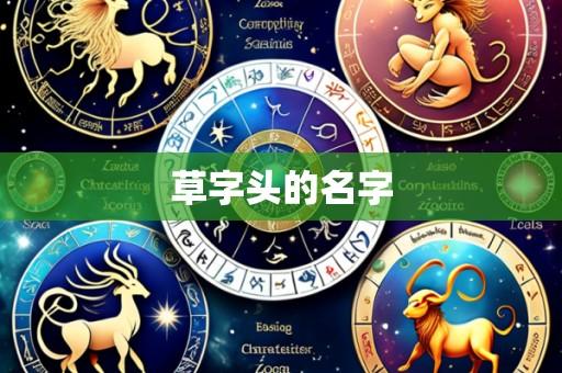 草字头的名字