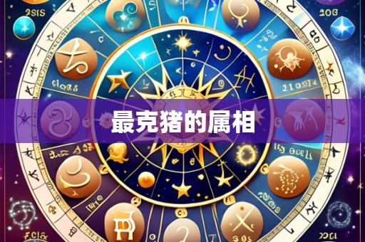 最克猪的属相