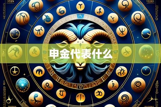 申金代表什么