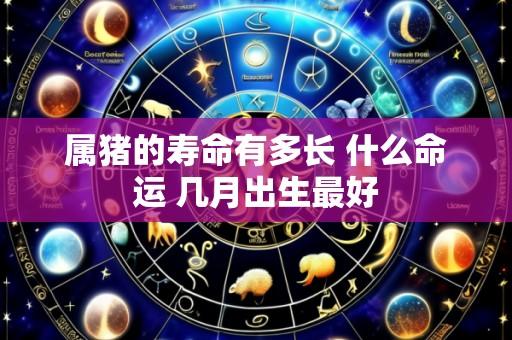 属猪的寿命有多长 什么命运 几月出生最好
