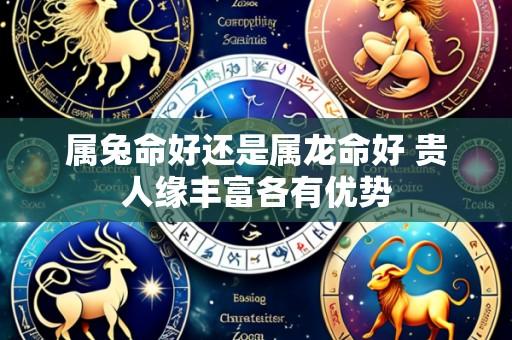 属兔命好还是属龙命好 贵人缘丰富各有优势