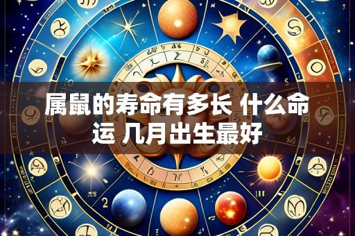 属鼠的寿命有多长 什么命运 几月出生最好