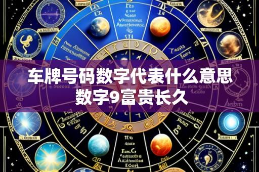 车牌号码数字代表什么意思 数字9富贵长久
