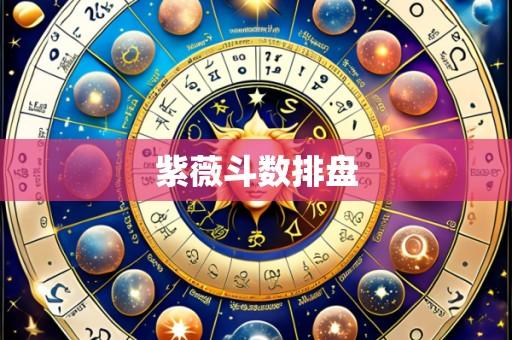 紫薇斗数排盘