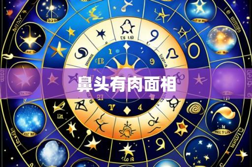 鼻头有肉面相