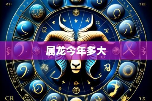 属龙今年多大