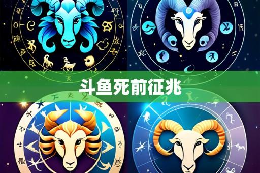 斗鱼死前征兆