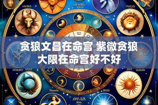 贪狼文昌在命宫 紫微贪狼大限在命宫好不好