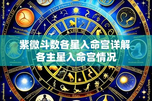 紫微斗数各星入命宫详解 各主星入命宫情况