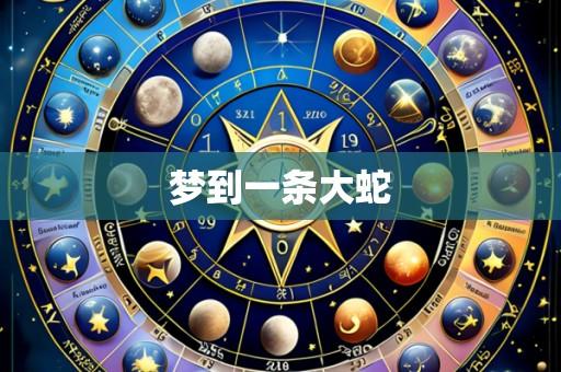 梦到一条大蛇