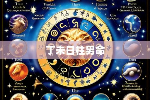 丁未日柱男命
