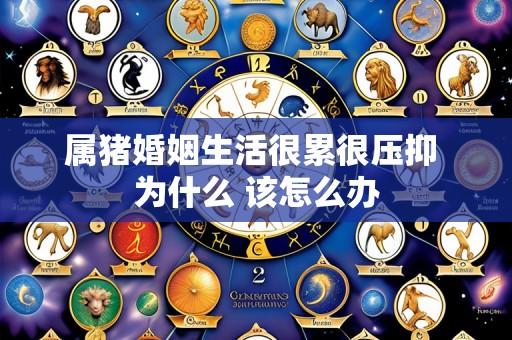 属猪婚姻生活很累很压抑 为什么 该怎么办