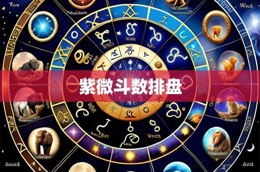 紫微斗数排盘