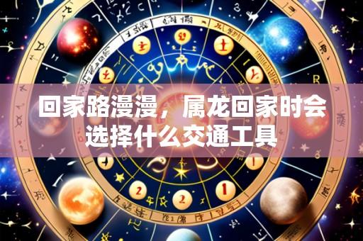 回家路漫漫，属龙回家时会选择什么交通工具