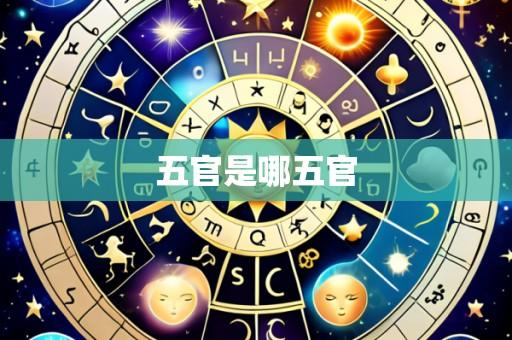 五官是哪五官