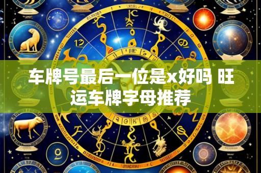 车牌号最后一位是x好吗 旺运车牌字母推荐