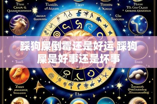 踩狗屎倒霉还是好运 踩狗屎是好事还是坏事