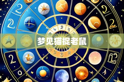 梦见猫捉老鼠