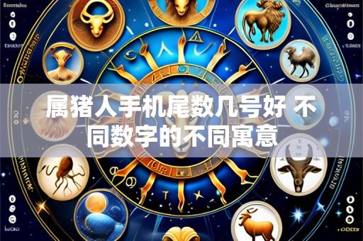 属猪人手机尾数几号好 不同数字的不同寓意