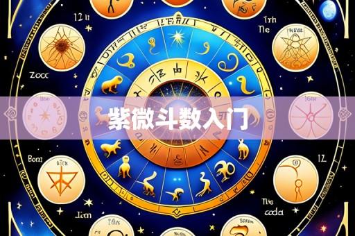 紫微斗数入门