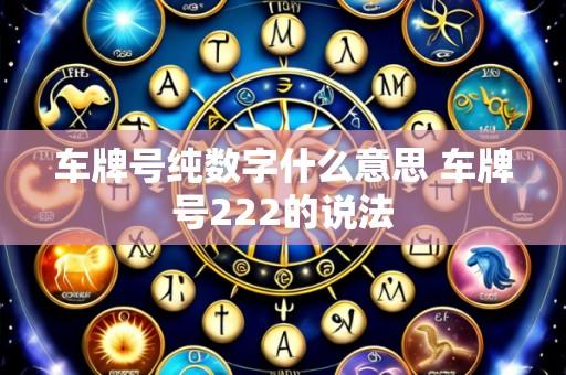 车牌号纯数字什么意思 车牌号222的说法
