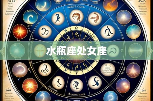 水瓶座处女座