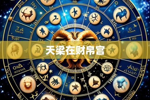 天梁在财帛宫