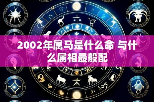 2002年属马是什么命 与什么属相最般配