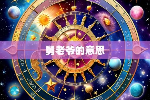 舅老爷的意思