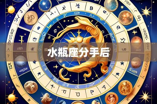 水瓶座分手后