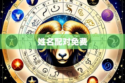 姓名配对免费