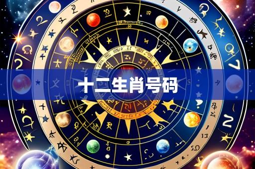 十二生肖号码