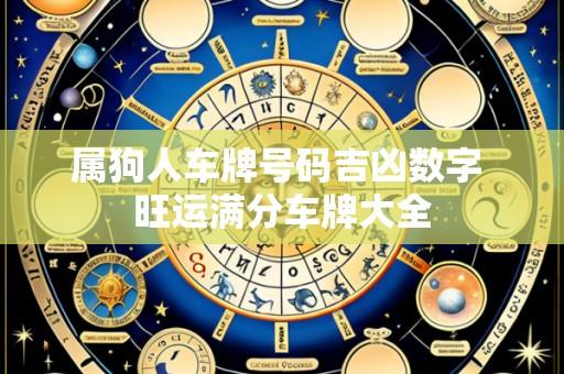 属狗人车牌号码吉凶数字 旺运满分车牌大全