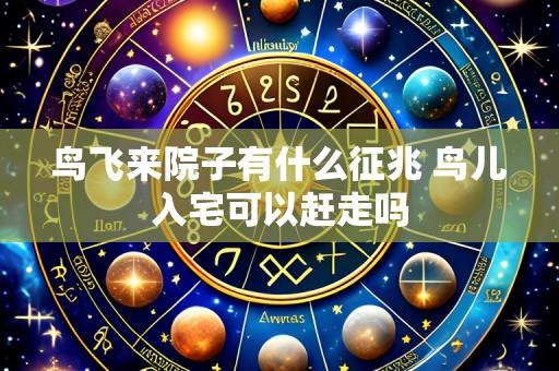 鸟飞来院子有什么征兆 鸟儿入宅可以赶走吗