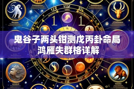 鬼谷子两头钳测戊丙卦命局 鸿雁失群格详解