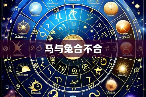 马与兔合不合