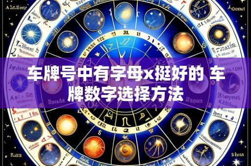 车牌号中有字母x挺好的 车牌数字选择方法