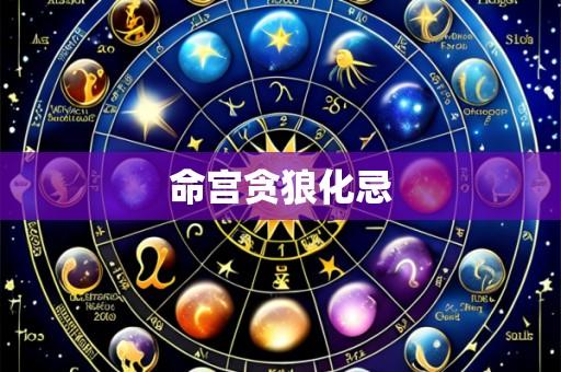 命宫贪狼化忌