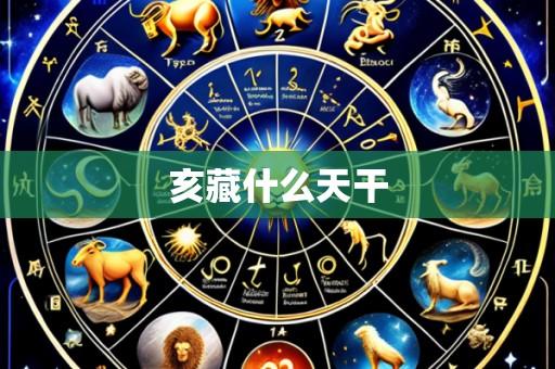 亥藏什么天干