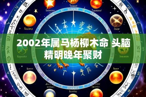 2002年属马杨柳木命 头脑精明晚年聚财