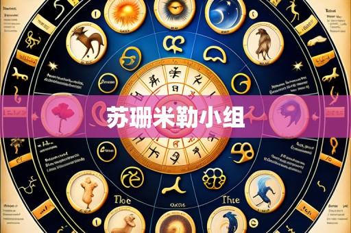 苏珊米勒小组