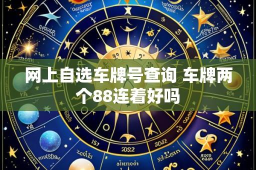 网上自选车牌号查询 车牌两个88连着好吗