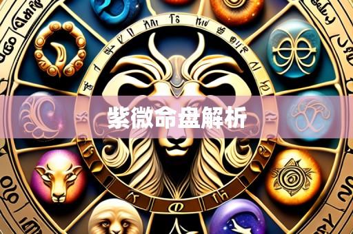 紫微命盘解析