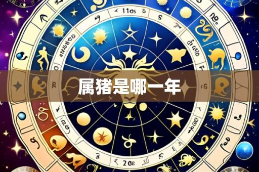 属猪是哪一年