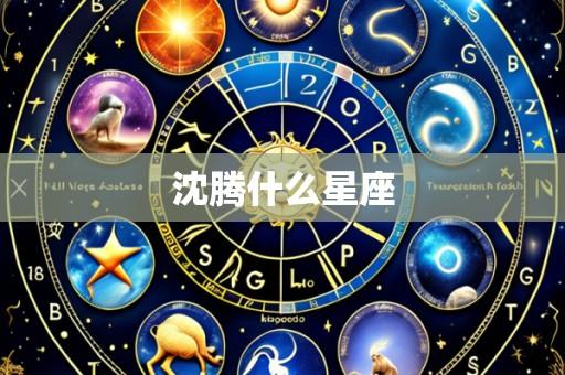 沈腾什么星座