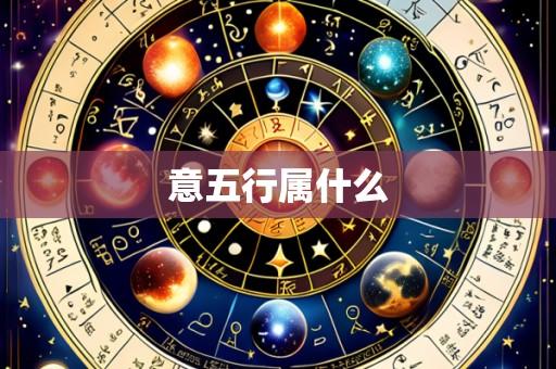 意五行属什么